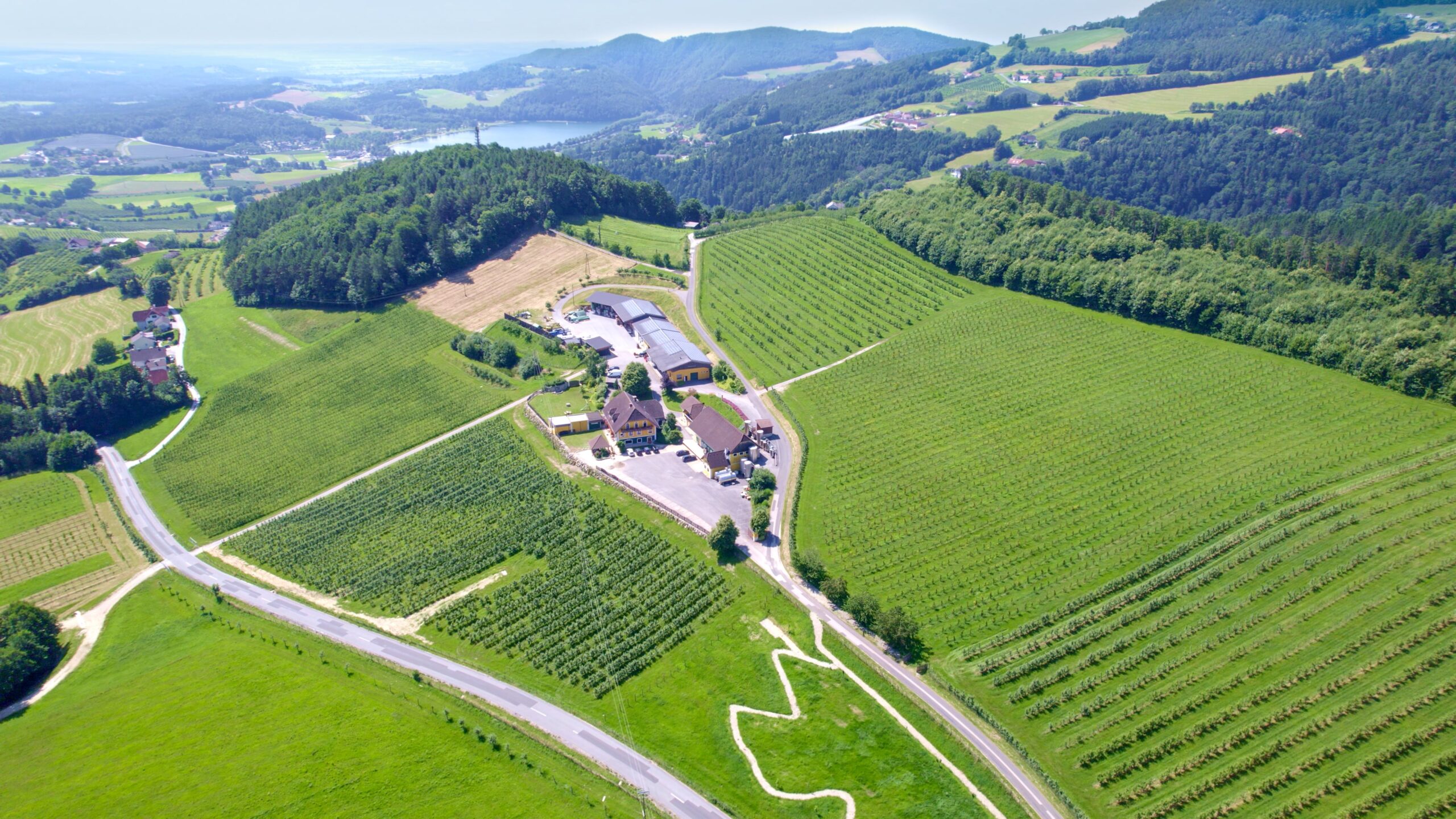 Der Hödl Hof von oben: Wohnhaus, Brennerei und Lager inmitten der eigenen Obstanlagen, im Hintergrund der Stubenbergsee.